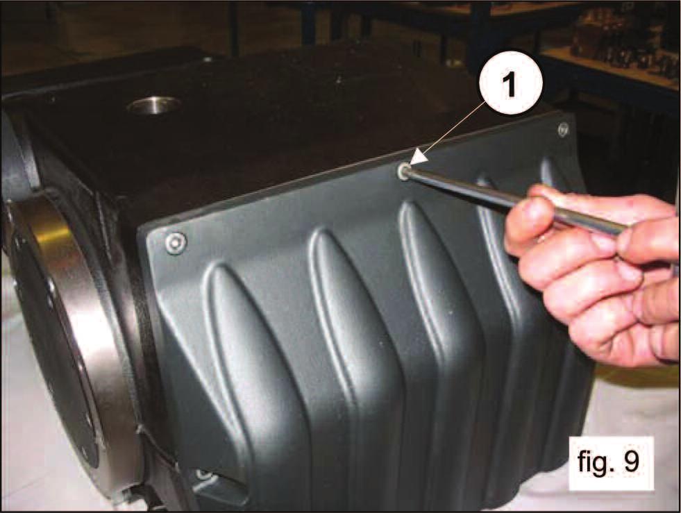 Unscrew the crankcase cover attachment screws (pos. 1, fig.