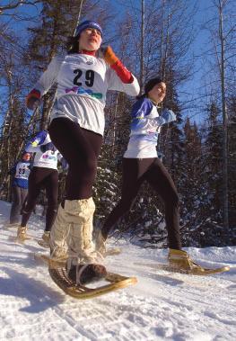 The rctic Winter Games include alpine skiing, cross-country skiing, free-style skiing, badminton, basketball, snowshoe biathlon, ski biathlon, curling, dog mushing, figure skating, gymnastics,