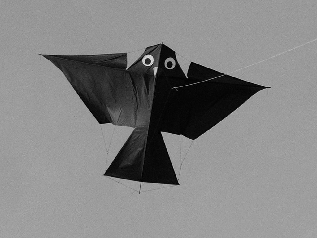 Arno Haft's Vogeldrachen (Bird Kite) Bob and