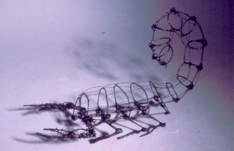 Three Dimensional #31 Title: Wire Insect