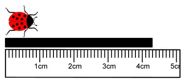 centimeter (cm) centimeter (cm) centimeter (cm) A