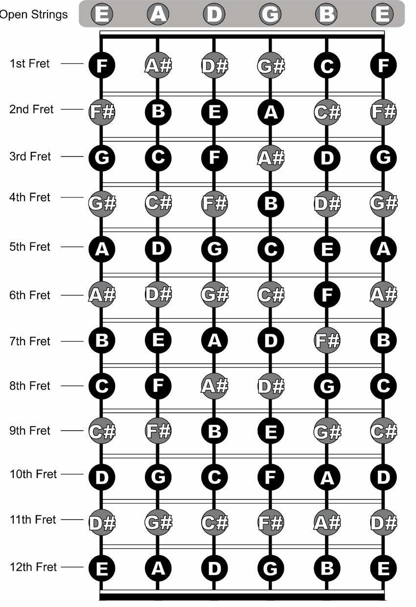Notes Of The Guitar: Below is a diagram of the first 12 frets of a guitar fretboard. The notes repeat themselves after the first 12 frets.
