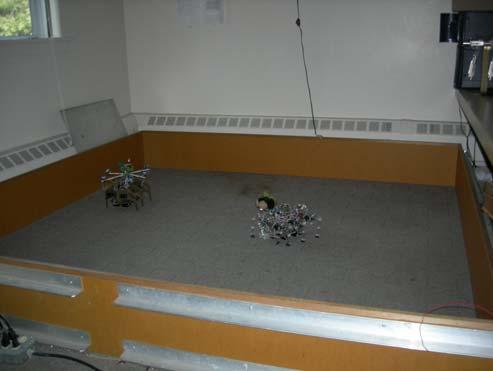 Figure 1. A photograph of the prey and the predator in the colony space. A. The Prey The prey was a ServoBot, which is a hexapod designed by David Braun.