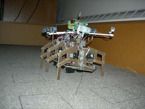 It had six legs, three on each side, and each leg was controlled by two servo motors. Each leg had two degrees of freedom, capable of moving horizontally forward/backward and vertically up/down.