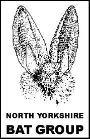 Bat Survey Requirements Minimum Standards in North Yorkshire