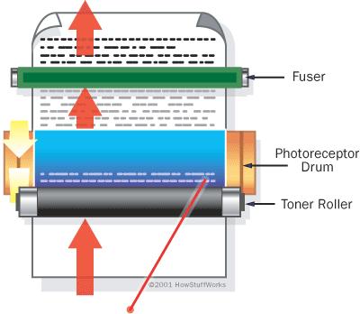 o Toner will cling to the image on the drum o Toner will not cling to the background - Paper is vely charged - Drum rolls over sheet of paper - What happens?