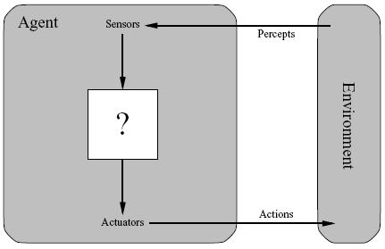 Rational Agents An agent is an entity that perceives and acts (more examples later) This course is about designing rational agents Abstractly, an agent is a function from percept histories to