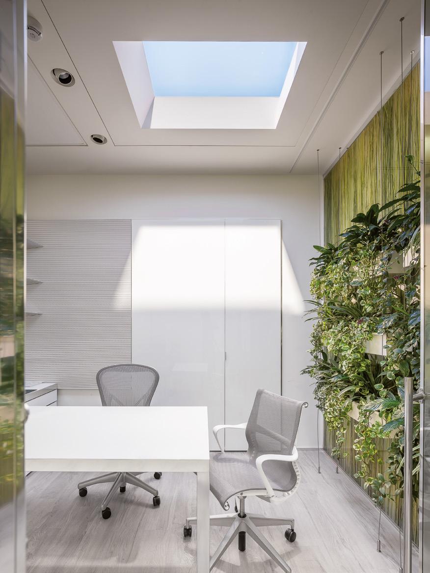 CoeLux 45 LC CoeLux artificial windows reproduce the true effect of the light and space in the outdoor s. The products faithfully mimic natural sunlight, a clear blue sky and its infinite depth.