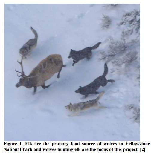 Second Case Study Title Multi-robot System Based on Model of Wolf Hunting Behavior to Emulate Wolf and Elk Interactions