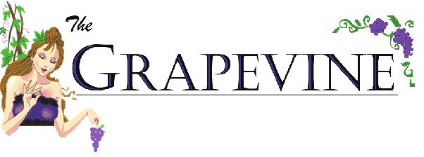 The Grapevine is published weekly by the Student Bar Association for the Santa Clara School of Law students, faculty, administration, and community.