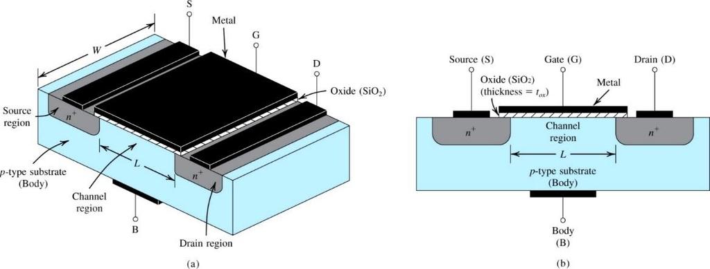 Physical Structure MOS: Metal-Oxide-Semiconductor Four Terminal Device: Drain, Source, Gate and Bulk (Body).