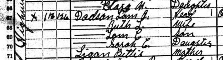 In this truncated view of the census record, you can see that the handwriting is questionable.