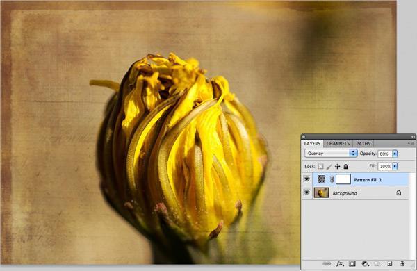 Step 7: With your action still running, go to image > save as and save the image within your