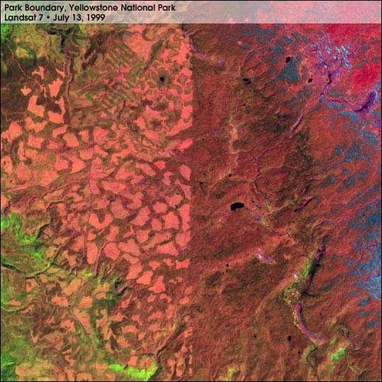 1999 Landsat Image Yellowstone Park Boundary plainly visible in this 1999 Graphically represents