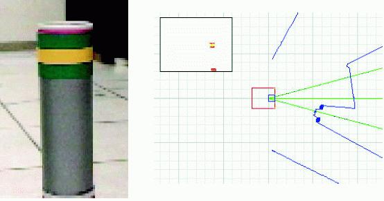 Kin recognition methods Laser-visual beacon