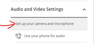 Set Up Audio and Video 1. Click on My Settings icon.