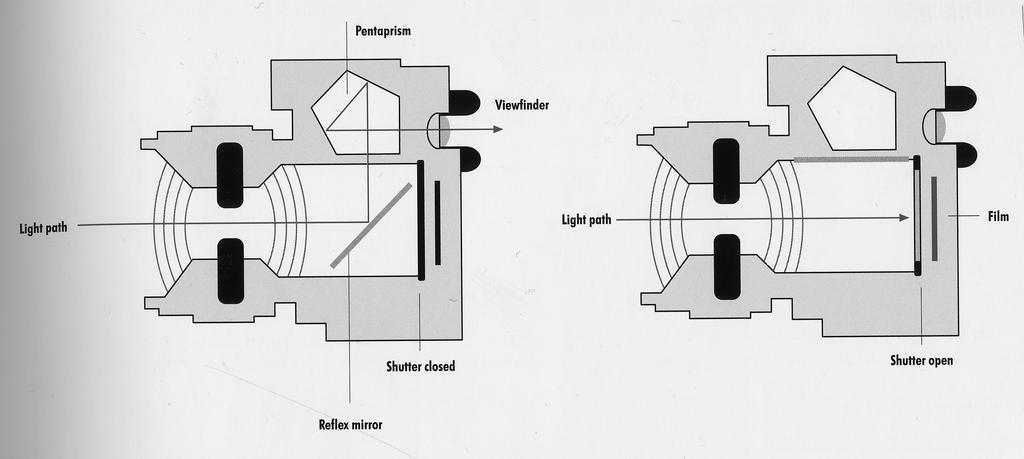 The SLR Camera Light travels through the lens and is bounced off the mirror into the pentaprism, which in turn bounces it through the viewfinder.