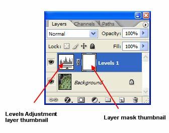 Figure 3-2: Levels adjustment layer with associated layer mask.
