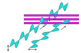 Polarization Although transverse and longitudinal waves have common properties they reflect, refract, diffract and superpose the difference between them can be seen by the property of polarization.