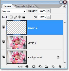 Click anywhere inside your image and Photoshop will select the specific pixel you clicked on, along with every other pixel above and below it from top to bottom.