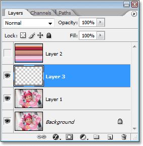 Step 10: Copy The Selection To A New Layer With our row of pixels selected, press Ctrl+J copy the selection to a new layer, which will appear between "Layer 1" and the horizontal pattern layer in the