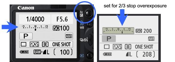 Manufacturer Specific Exposure Controls Canon Examples of Canon rear LCD screens.