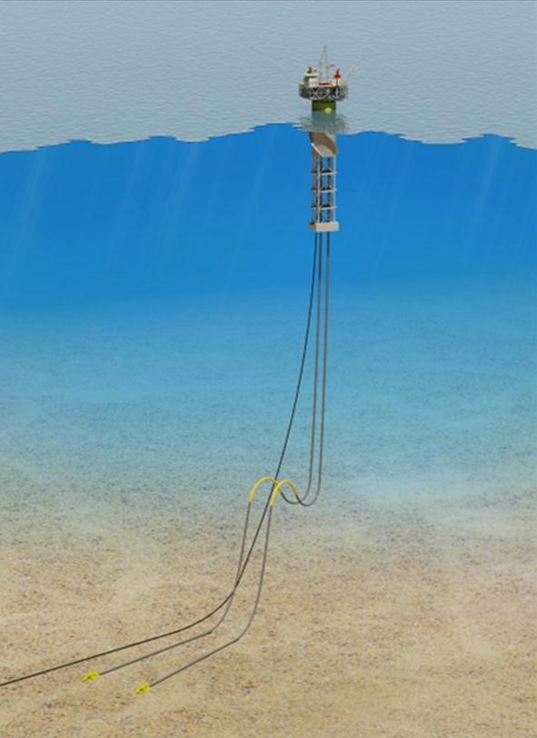 Deepwater Offshore Development Technology Needs Deepwater/Subsea Intervention Floating Riser Design (MEPS) Coil Tubing & Wireline EOR for Deepwater Offshore Reservoir simulation tools N 2 generation