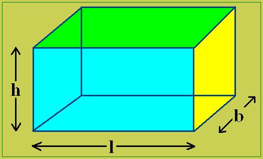 Area: an amount of surface 3cm Shapes and measure 2cm h B x h = area² 3cm x 2cm = 6 cm² b Volume: an amount of space occupied by a solid l x b x