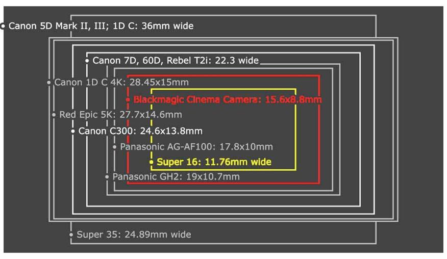 DSLR SENSOR SIZES A DSLR s sensor is in effect the camera s brain, processing the image that passes through the lens.