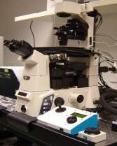 Using the ASI Stage The microscope is equipped with an ASI motorized stage.