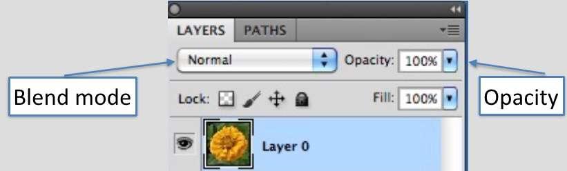 Layer opacity There are two other important layer options that can be selected in the