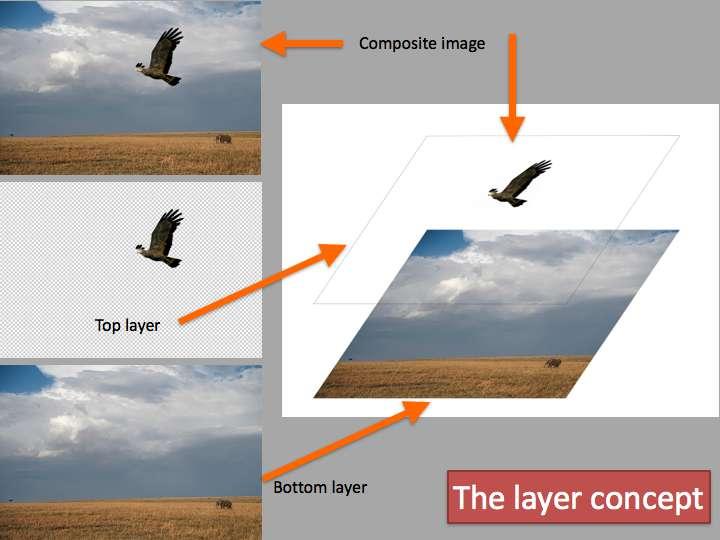 The overall process can be represented as follows: Some of the advantages of creating the composite image in this way, rather than placing the bird directly into the original image are: a) The bird