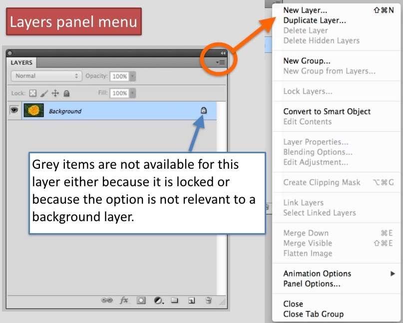 You can also create two types of new layer from the layer panel menu - either a new empty layer or a duplicate of the layer that is currently selected.