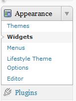 other information such as topics, searches, and more which are added via widgets.