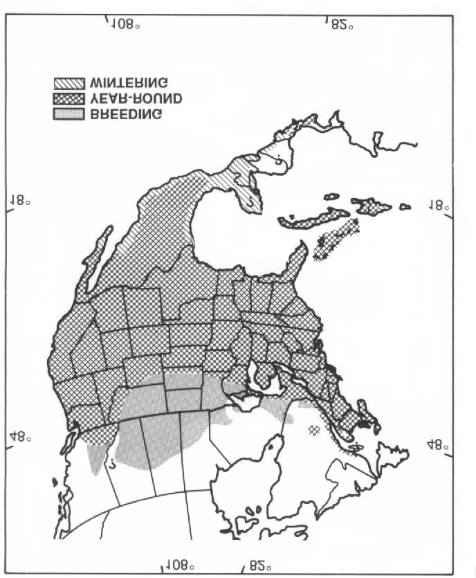 Within the United States, there are 3 zones that contain mourning dove populations that are largely independent of each other (Kiel 1959).