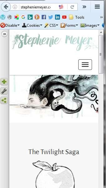 Stephenie Meyer WordPress site, sales/blog/static Positive: 1.