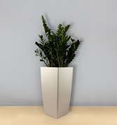 boxtree Tall vessel 09 with