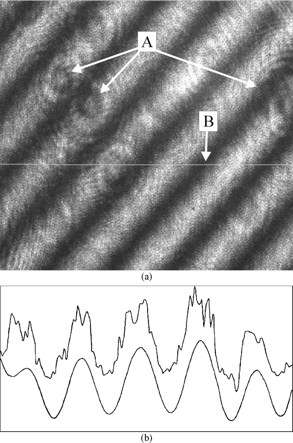 Figure 2. Video frame and spatial intensity data. (a) Full frame of acquired interference pattern acquired from CCD camera. Points A show typical fixed spatial intensity noise.