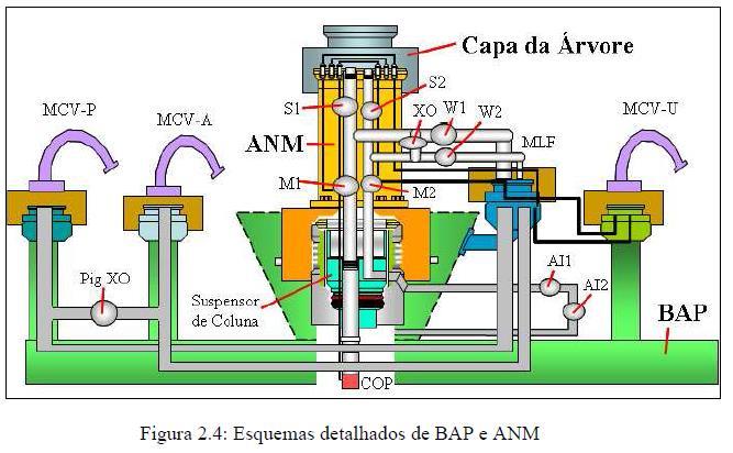 Schematic of ANM (BAP+ANM) Fonte: Fonseca (2012).
