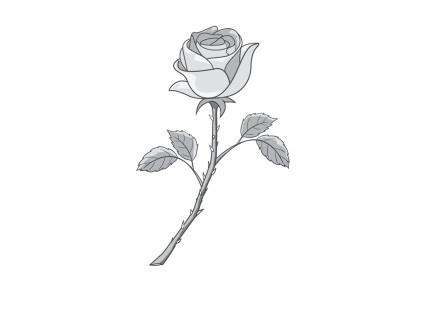 Rose Garden Math and Science Activity 10-1 Did You Know? The thorns on the stem of a rose are actually called prickles. Sharp points are used by a variety of plants for defense in the wild.