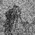 (a) corrupted image (noise percentage 30%).