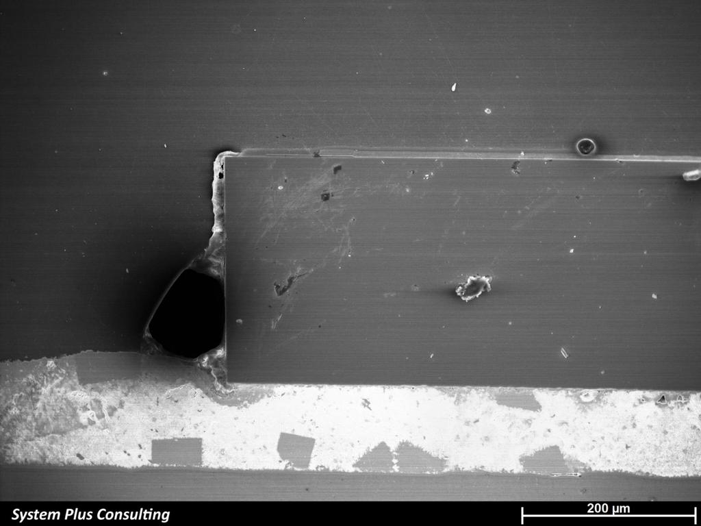 264 µm Die cross-section : SEM view 2016 by