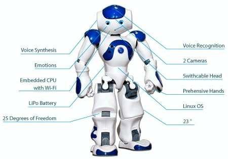 classification for a humanoid robot. The main physical environment for testing our software was the one of robotic soccer.