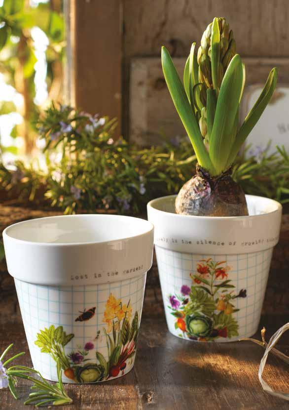 RHS Planters Illustrations from the RHS