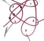 Step 3: Make the 5th loop, positioning it to the left and slightly below loop 4.