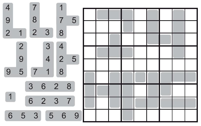 13. PLACEMENT (SHAPE) SUDOKU column, and bolded region.