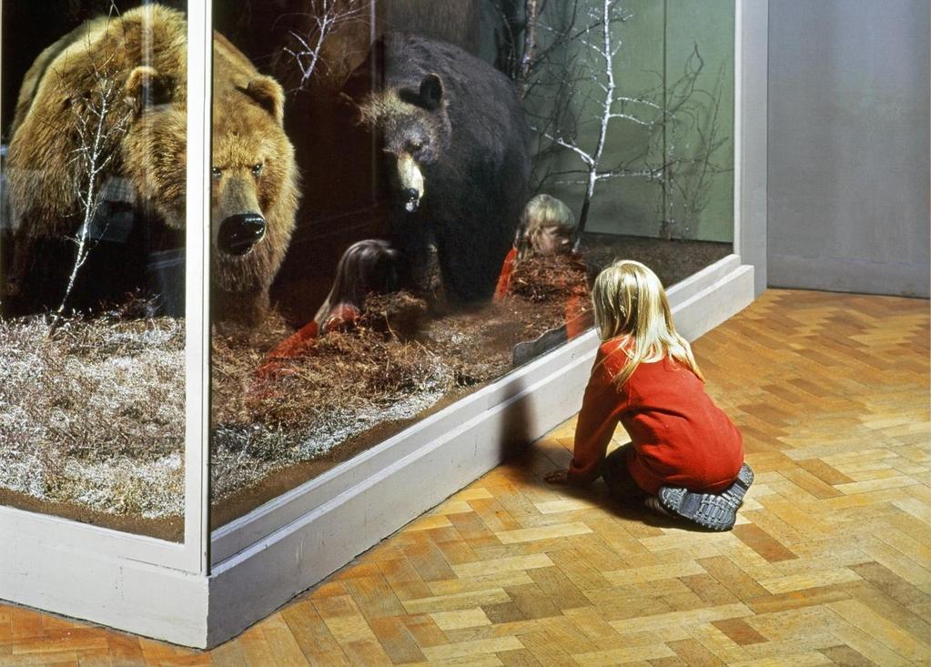 Constructed reality Introduction Images Questions Activities Wendy McMurdo, Girl with Bears, Royal Museum of Scotland, Edinburgh.1999 Wendy McMurdo. All Rights Reserved, DACS 2017.