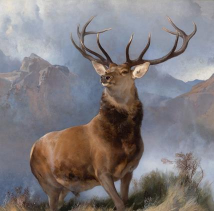 This section uses Monarch of the Glen and other relevant artworks to focus on constructed reality, offering images, questions and activities for learners of all ages to explore.