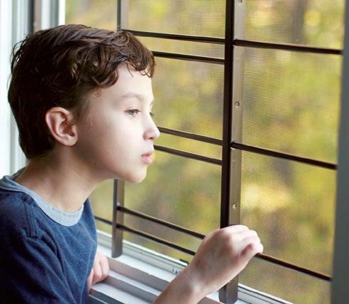 Child Safety Window Guards 1120 Series Child-Safety Window Guards (fixed) Easy to