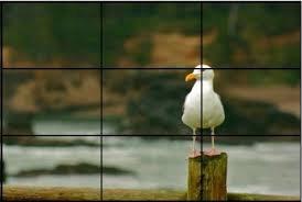 5. Remember the rule of thirds The rule of thirds traces back to the late 18th century.